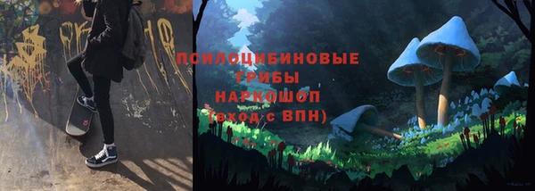 хмурый Верхний Тагил