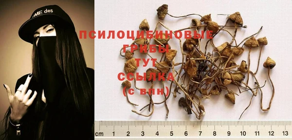 спиды Верея